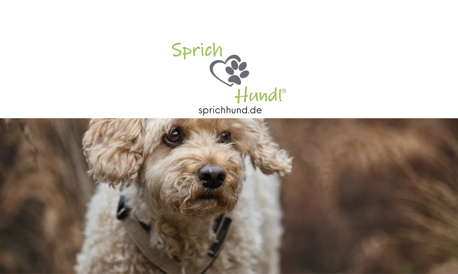 Website-Header mit Sprich Hund Logo, Hund und Website-URL sprichhund.de auf weißem Hintergrund