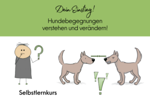 Hero-Grafik Selbstlernkurs Hundebegegnungen mit illustriertem Hund, Person mit Fragezeichen und grünem Hintergrund