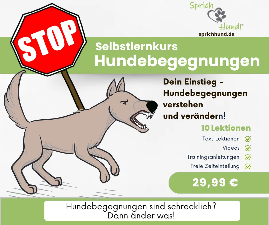 Kurs-Verkaufsseite mit Stopp-Schild, Illustration Hund mit Leine, Kursdetails und Preis 29,99 Euro