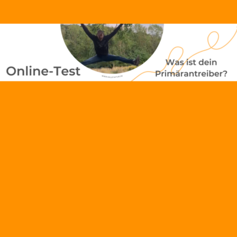 Innere Antreiber – Selbsttest als E-Book von Sabine Will