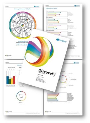 Insights Discovery Profil Dokumentation mit Farbrad, Typdiagramm und Analysegrafiken