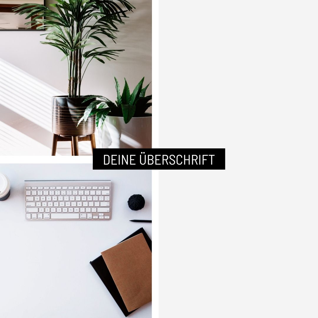 Splitscreen Template – Pflanze und Workspace links, Überschrift auf schwarzem Balken rechts