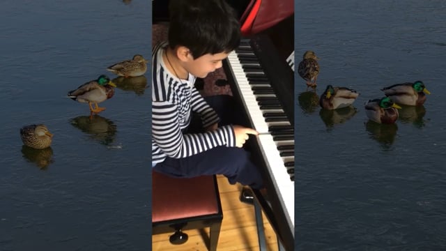 Kind spielt Keyboard am See mit Enten im Hintergrund