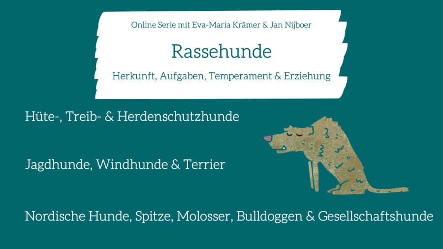 Teal-weißes Grafik-Banner Rassehunde Online Serie mit Hütehunden und Jagdhunden Themen