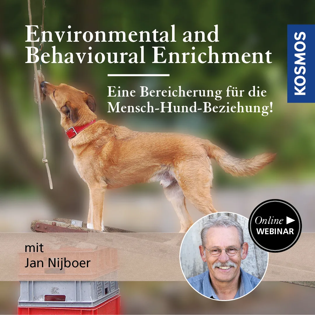 Webinar-Cover mit braunem Hund und Portrait von Jan Nijboer zum Thema Enrichment