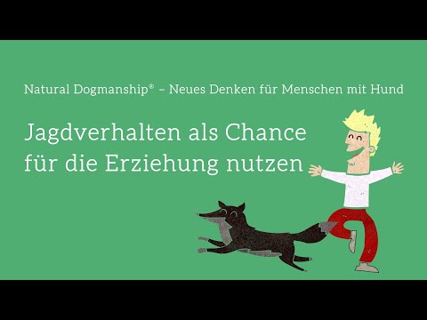 Videostandbild des Webvortrags über Jagdverhalten und Hundeerziehung