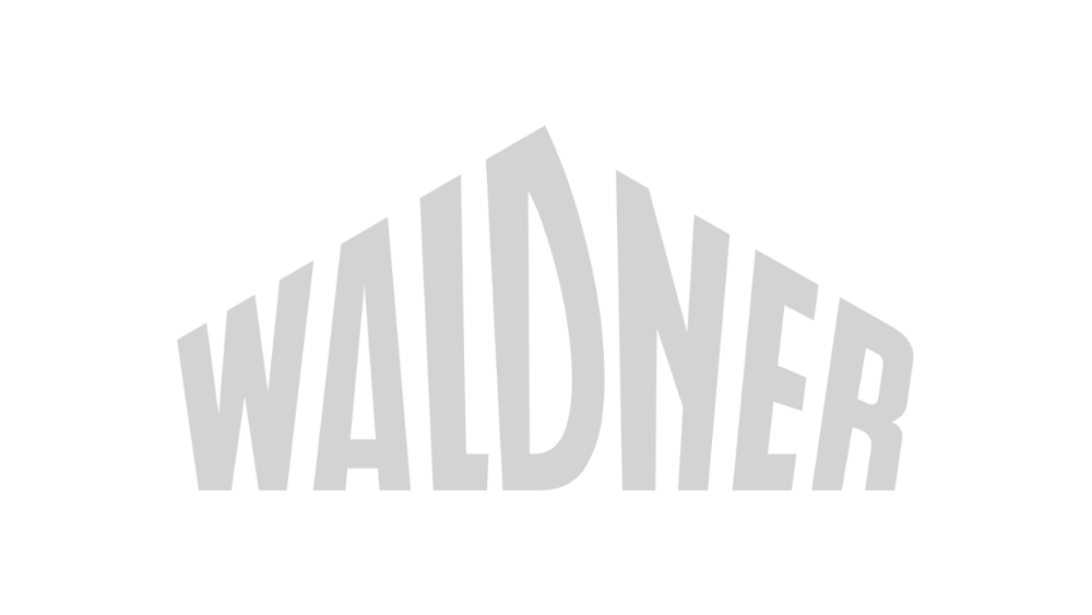 jobevo Karriere-Kompass Basic – Coaching zum Jobwechsel 9 Logo WALDNER in großen 3D-Buchstaben grau auf weiß
