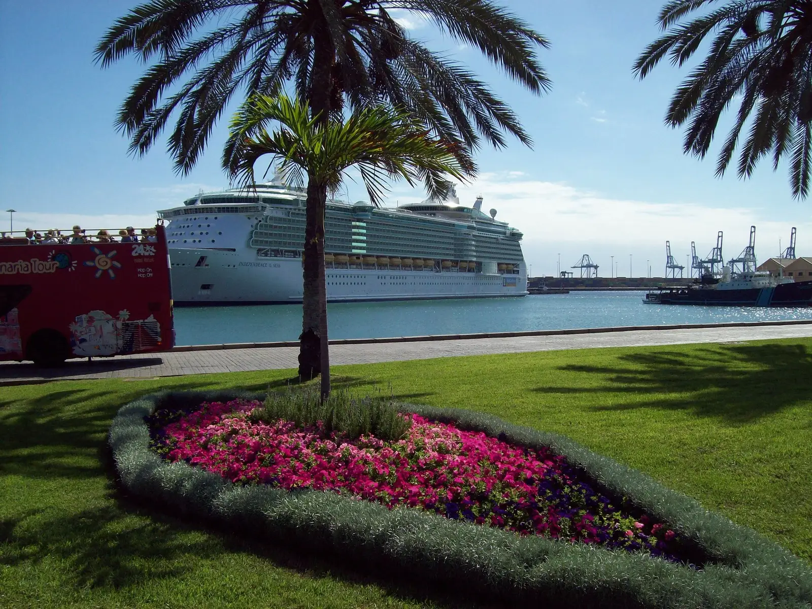 Großes Kreuzfahrtschiff im modernen Containerhafen mit Blumen und Palmen im Vordergrund