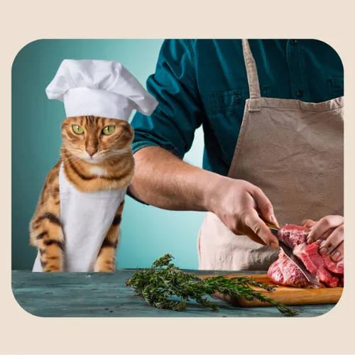 Katzen-Ernährungscoach: Tabby-Katze mit Kochmütze neben Mann in Schürze beim Zubereiten von Rohfleisch