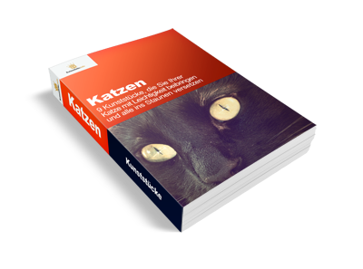 Bonus E-Book Cover Katzen mit leuchtenden Augen auf dunklem Hintergrund