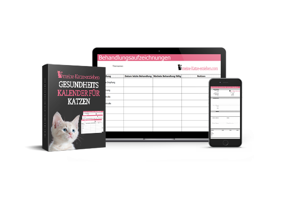 Bundle Mockup - Kalender, Website, Tablet und Smartphone mit Behandlungsaufzeichnungen