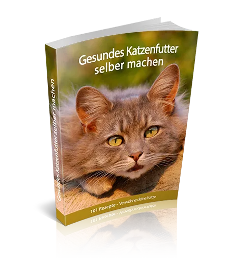 E-Book Cover Gesundes Katzenfutter selber machen mit Katzenportrait und Rezepttitel