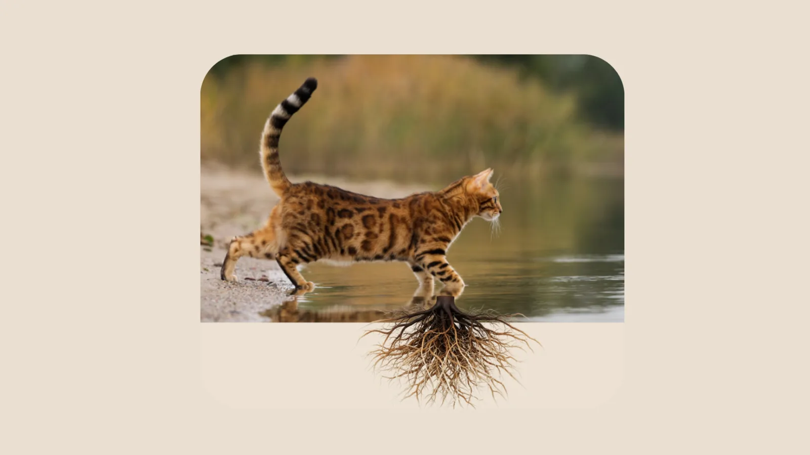 Getigerte Katze an Wasser mit Wurzeln – surreale Grafik zur Verwurzelung von Katzenverhalten