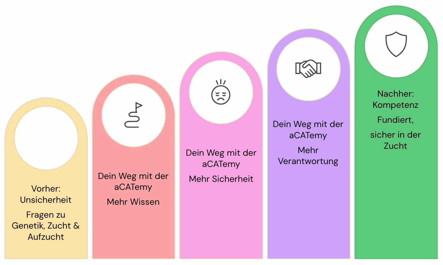 Infografik mit fünf bunten Stufen: Unsicherheit, Wissen, Sicherheit, Verantwortung, Kompetenz