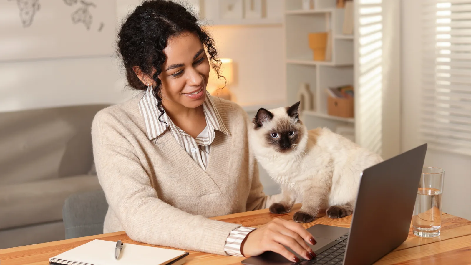 Lächelnde Frau mit Point-Katze am Laptop, modernes Homeoffice mit minimalistischem Design