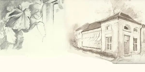 Zwei Bleistiftzeichnungen: Blütendetail links und Hausarchitektur rechts