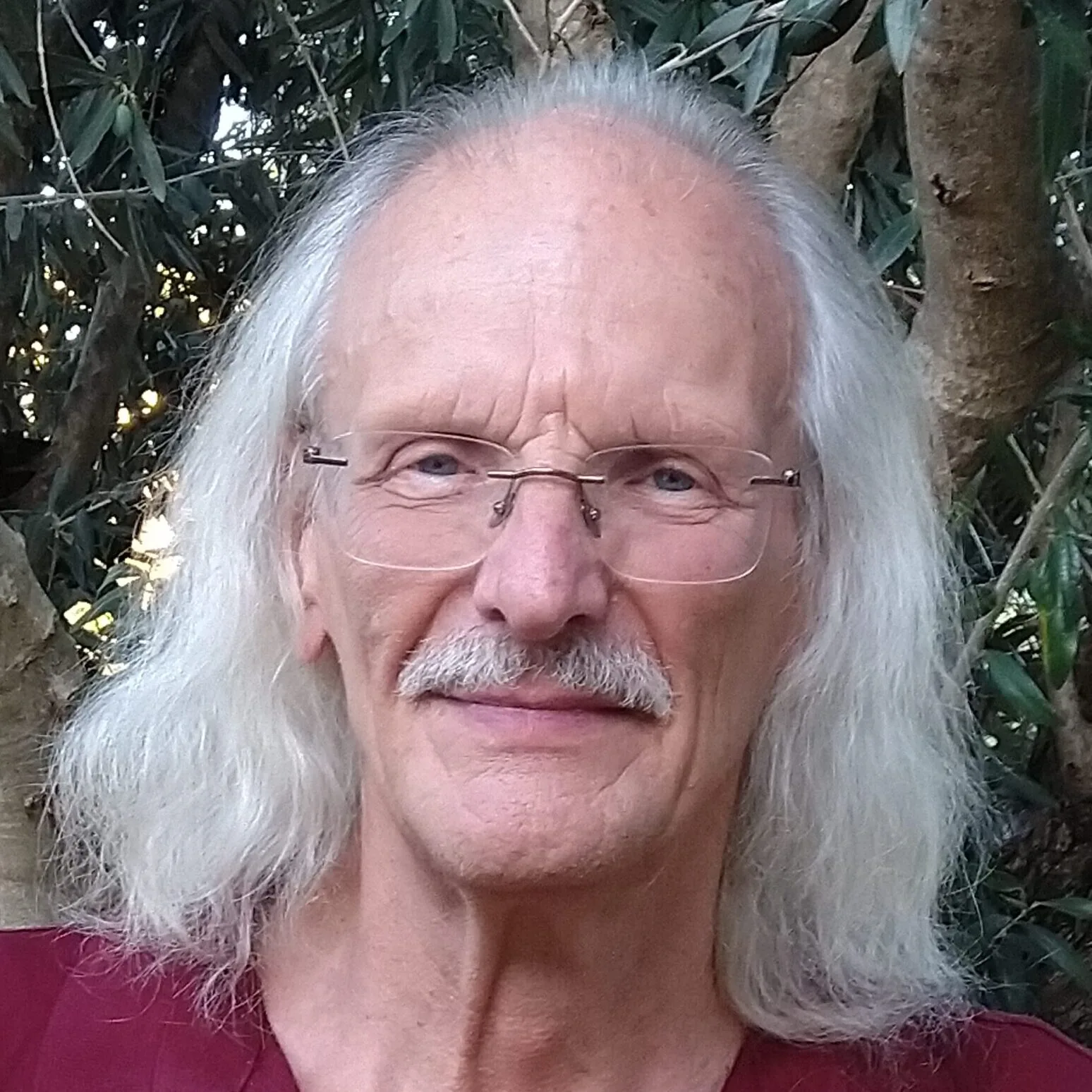 Kongresspaket 149.PLUS – Videokurs zur Langlebigkeit 13 Manfred Ludwig