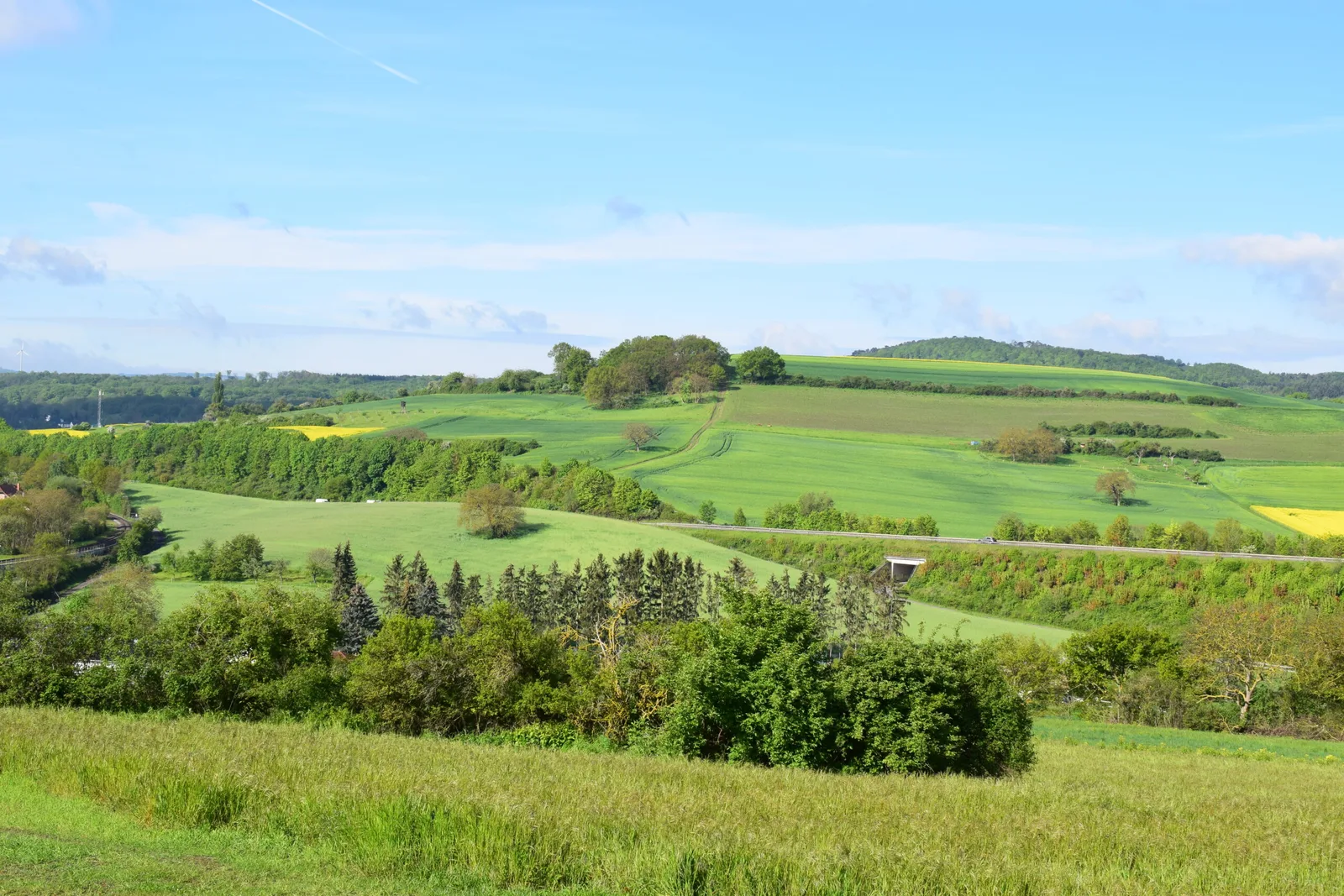 Landschaftsfoto einer grünen Hügellandschaft mit Feldern, Wäldern und blauem Himmel