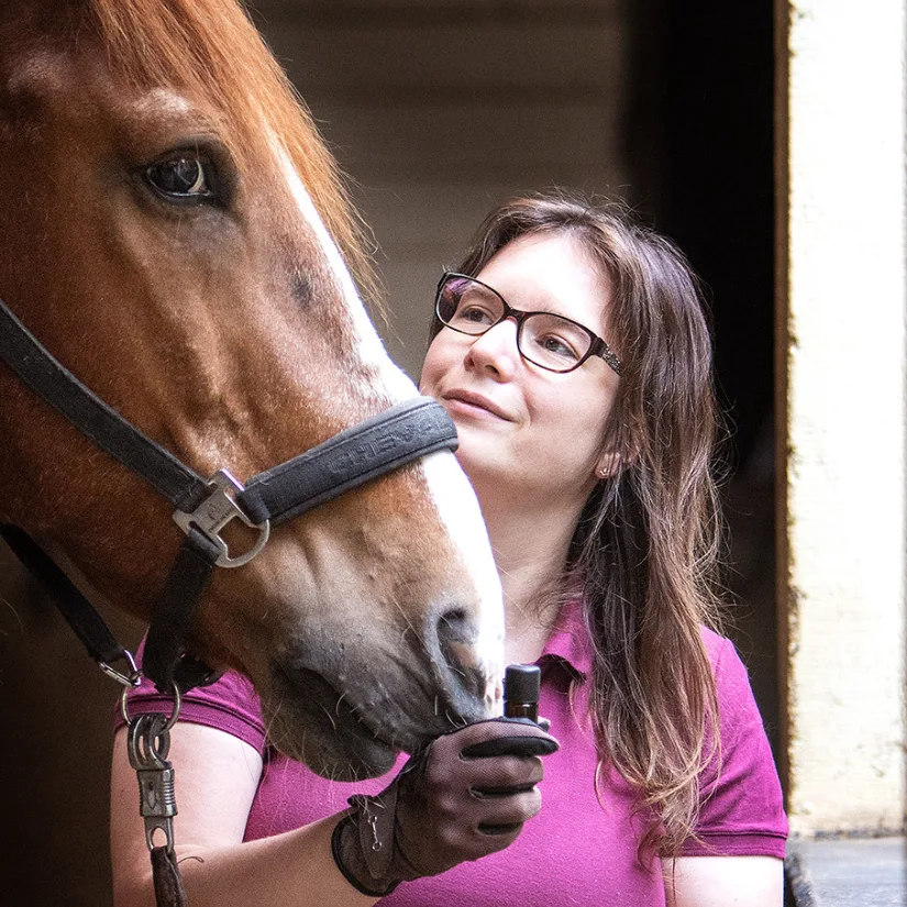Dr. Daniela Weiser mit braunem Pferd, hält Zügel im Stall