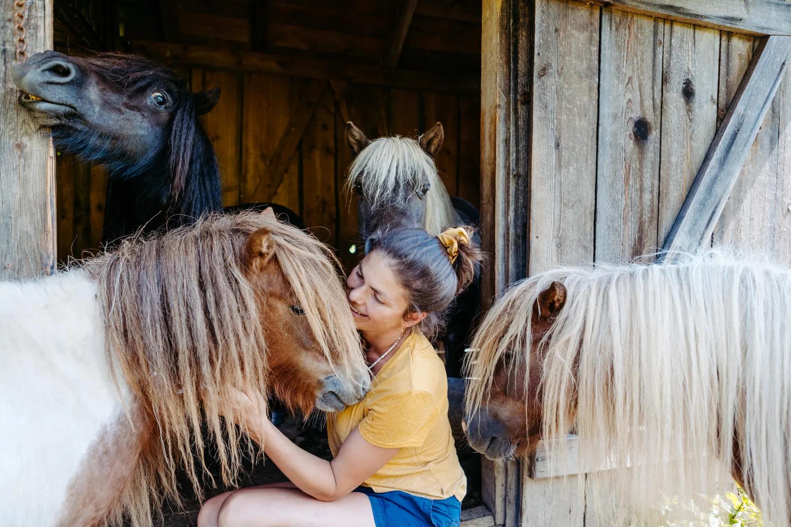 Ines Schwarz mit Pony im Stall, gelbes Shirt, Pferdeflüsterin