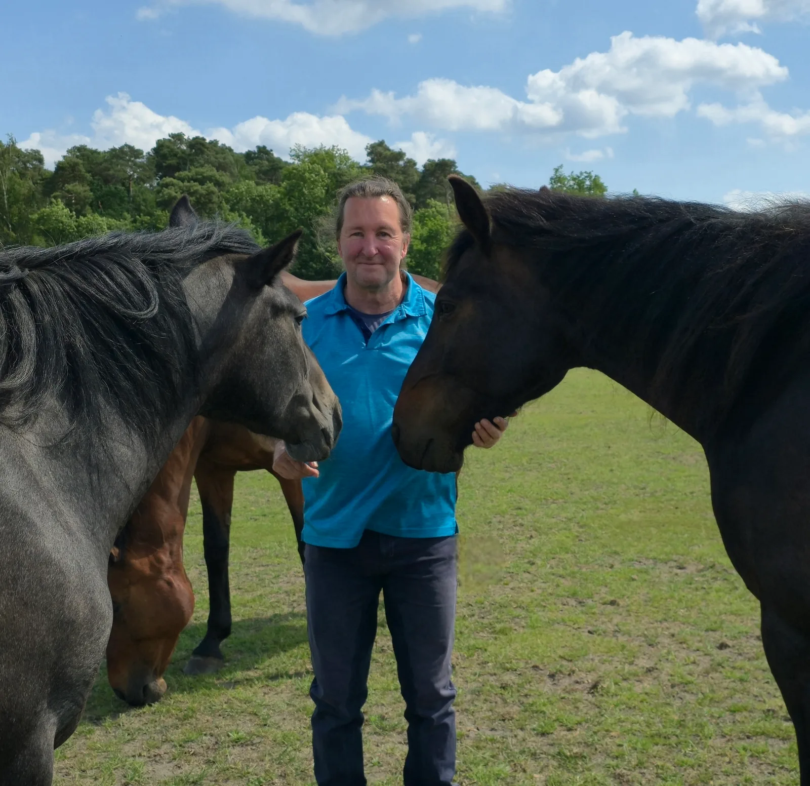 Hans-Jürgen Neuhauser in blauem Shirt zwischen zwei Pferden auf grüner Wiese