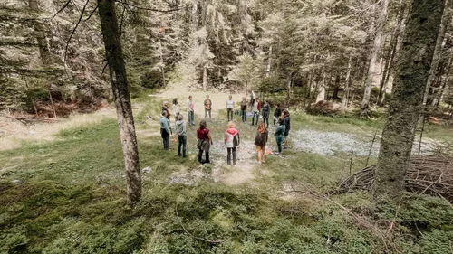 Luftaufnahme einer Gruppe von Menschen in einem Waldlichtung, Kurs-Titelbild
