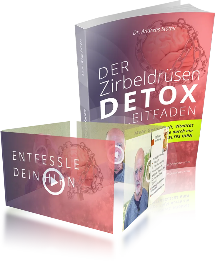 Kraftquellen Online Training – Videokurs zur Körperarbeit 12 3D-Produktmockup "Der Zirbeldrüsen Detox Leitfaden" mit Video-Box und Begleitmaterialien