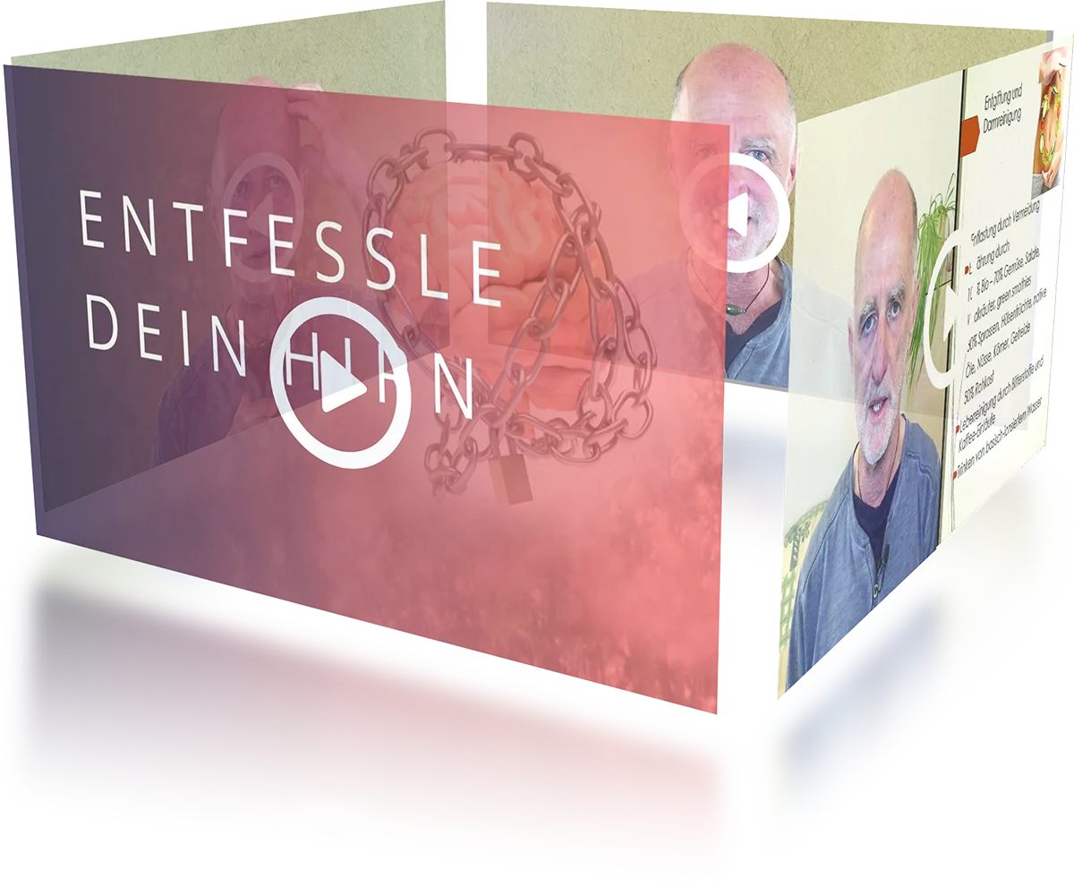 Kraftquellen Online Training – Videokurs zur Körperarbeit 13 3D-Produktansicht einer aufgeklappten Video-Box mit Lernmaterialien und Play-Button-Symbol