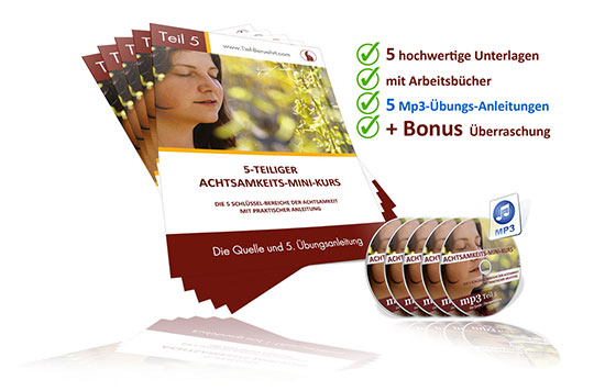 Kraftquellen Online Training – Videokurs zur Körperarbeit 3 3D-Produktabbildung "5-teiliger Achtsamkeits-Mini-Kurs" mit Unterlagen und Audio-CDs