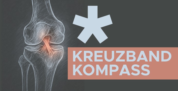 Hero-Banner zum HNL Kreuzband-Kompass mit Knie-Anatomie und Titel