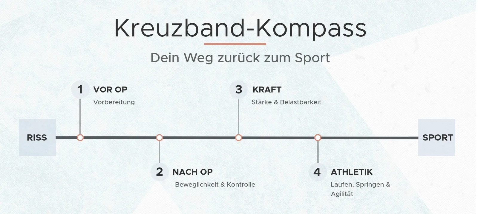 Reha-Roadmap des HNL Kreuzband-Kompass von Riss bis Sport-Rückkehr