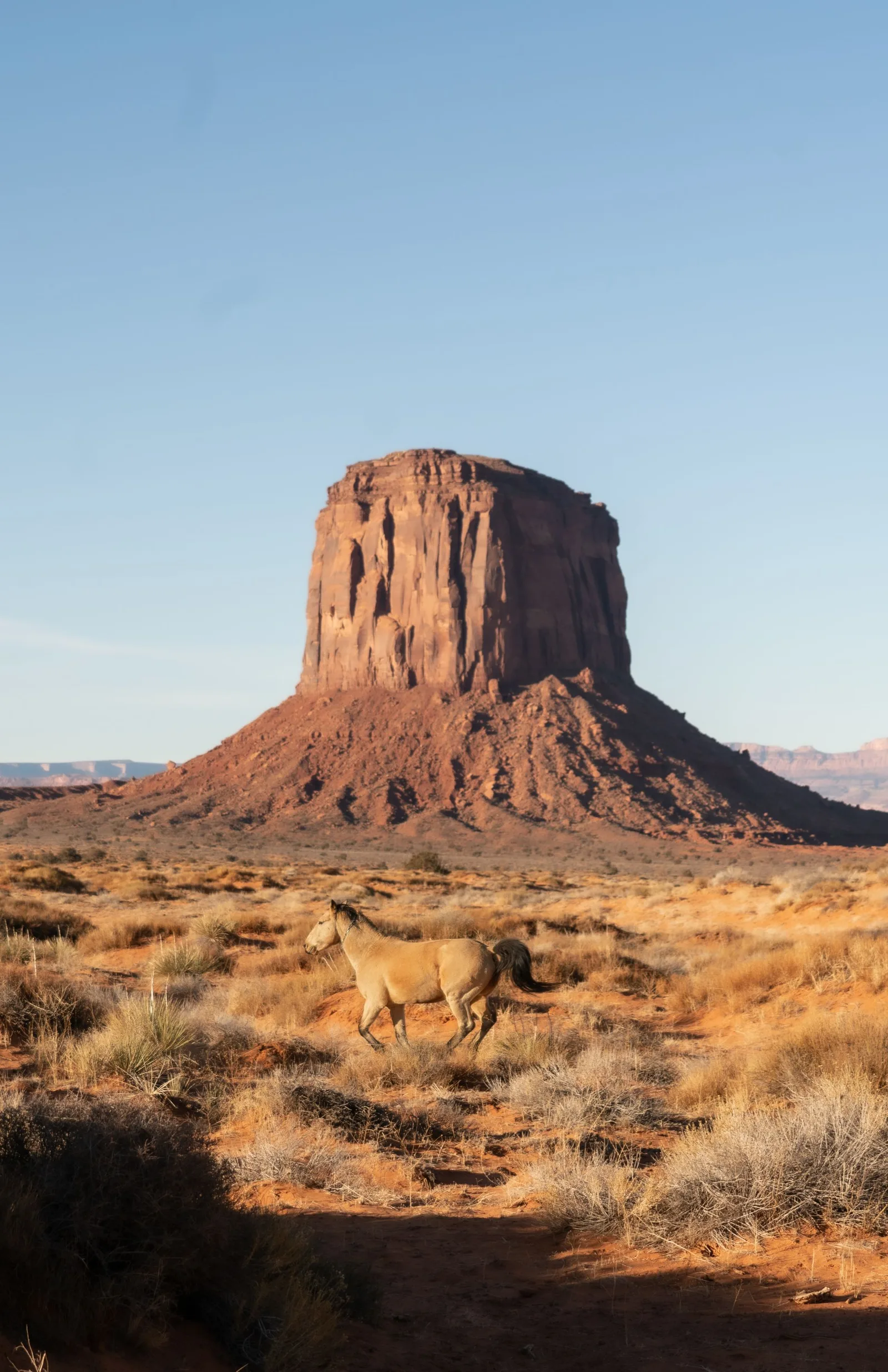 Landschaftsfoto: Monument Valley mit Sandstein-Tafelberg, Wüstenszenerie mit Pferden, Inspirationsmaterial für digitale Maler