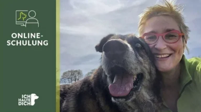 Lass das Glück mit deinem neuen Hund einziehen – Eingewöhnungskurs
