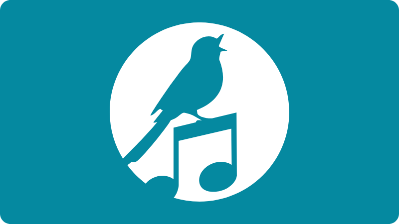 Hero-Banner mit Vogel und Musiknote auf Türkis – Leicht Singen Lernen