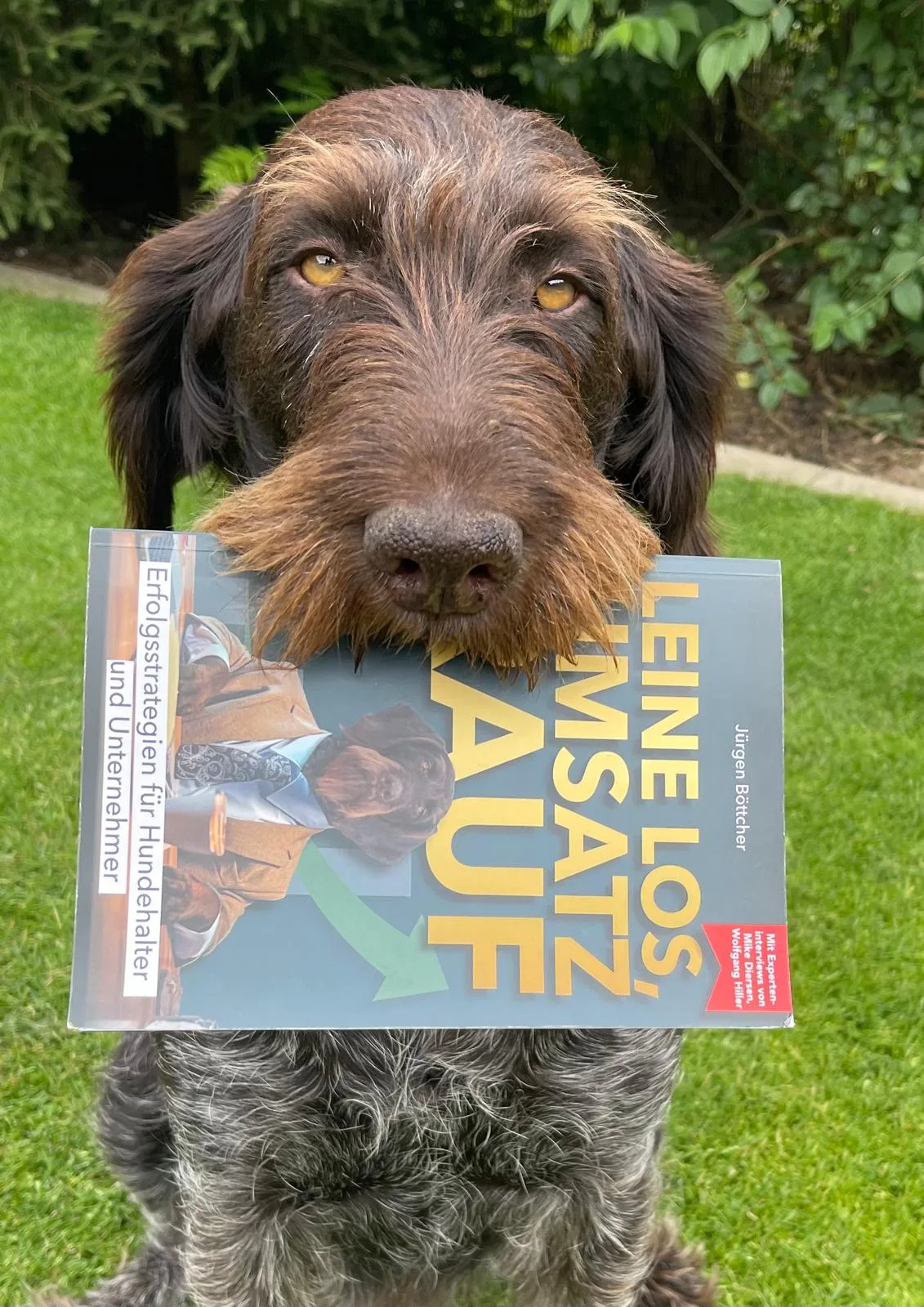 Leine los, Umsatz rauf – Ratgeber zu Positionierung 3 Das Buch: Leine los, Umsatz rauf
