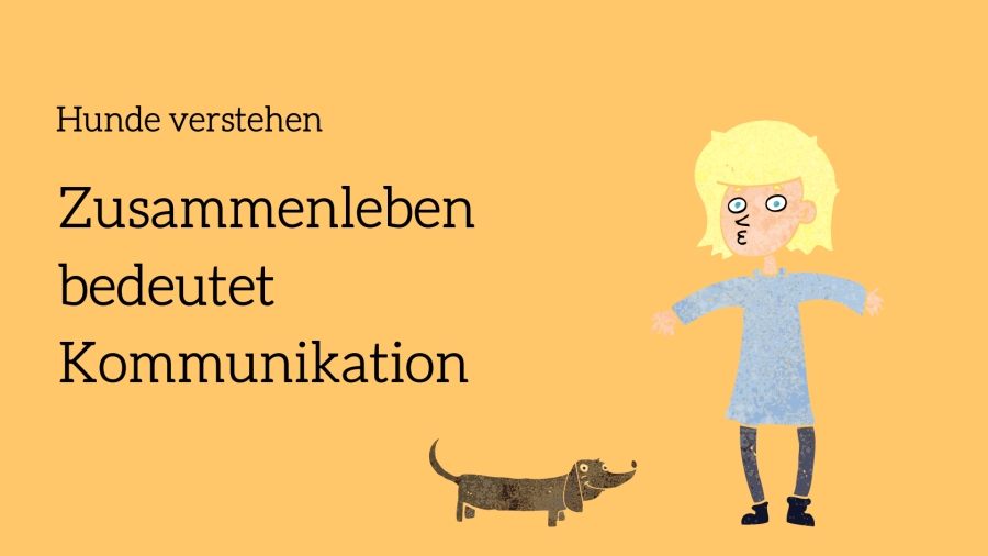 Lernen & Beschäftigen als Team – Webinar zur Hundebeschäftigung 4 Banner Hunde verstehen auf gelbem Hintergrund mit Cartoon-Figur Frau und Dackel Illustration