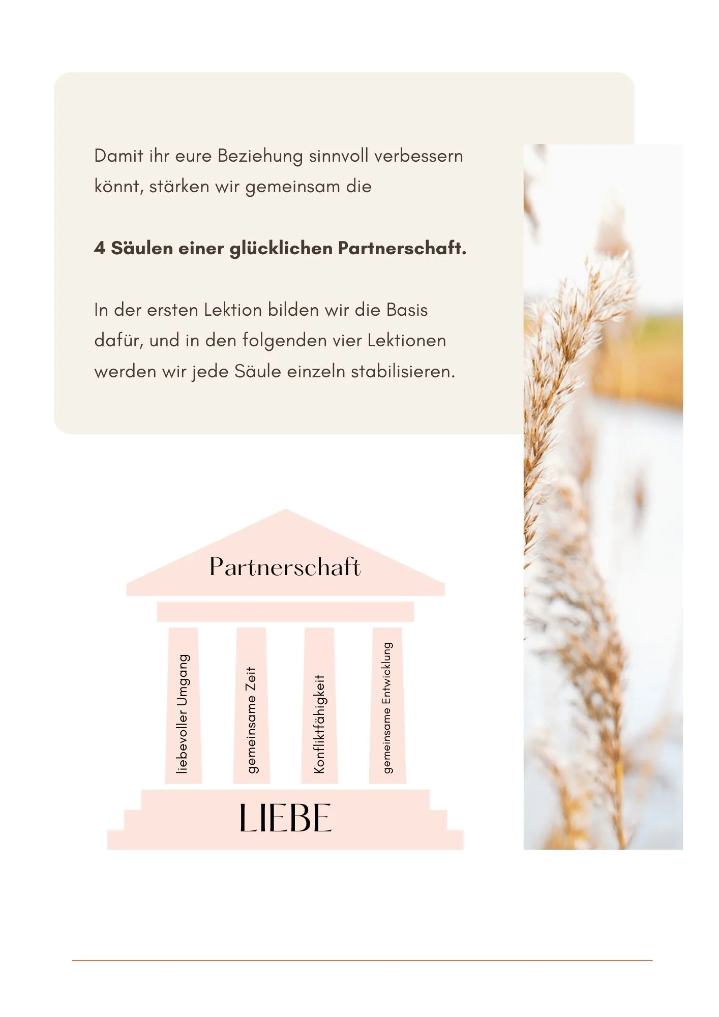 E-Book Seite mit Ratschlägen für Paarbeziehungen