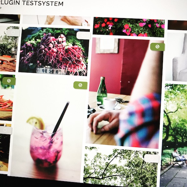 Collage aus mehreren farbigen Fotografien mit grünen Häkchen-Symbolen, zeigt Blumen, Getränk und Pflanzen