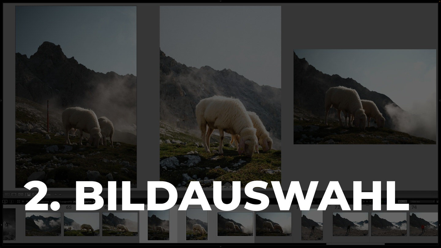 Lightroom Regelt Bilder Markieren Auswählen