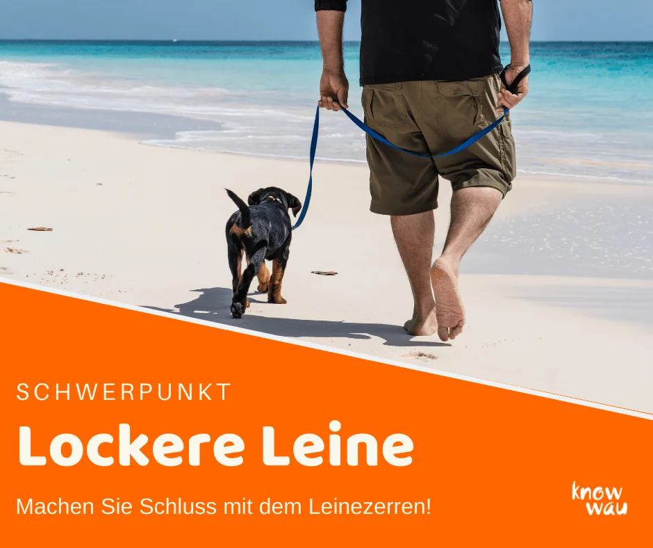 Lockere Leine – Videokurs zur Hundeerziehung von Karin Immler 2 Mann und Hund an lockerer Leine am Strand mit Meer im Hintergrund