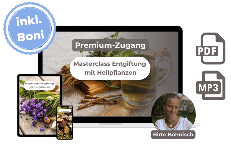 Hero-Banner Masterclass Entgiftung mit Heilpflanzen, Premium-Zugang mit Birte Böhnisch, Tablet und Smartphone Mockup