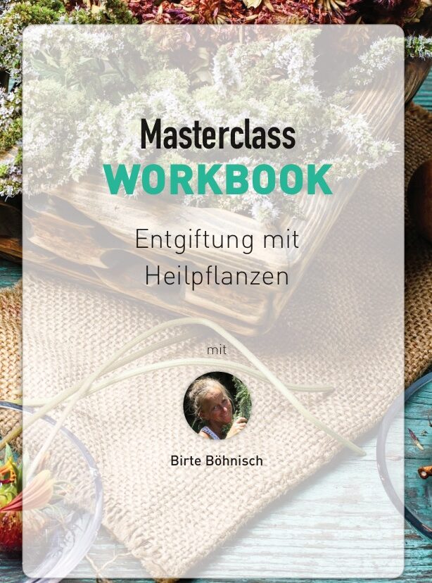 Workbook-Cover Masterclass Entgiftung mit Heilpflanzen, Birte Böhnisch