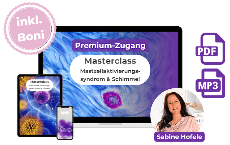 Hero-Bild Masterclass Premium-Zugang mit Sabine Hofele, Tablet, Smartphone und PDF/MP3-Icons