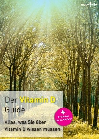 Medumio Vitamin D Guide Cover mit Waldweg und Sonnenlicht