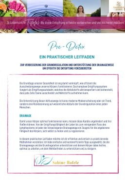 Sabine Hofele Pre-Detox Guide Cover mit lila Blüten und Haus