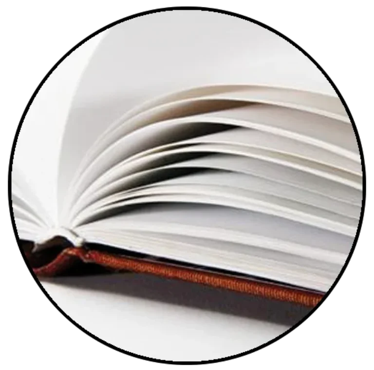 Mediation visionär – Fachbuch zur Konfliktvermittlung