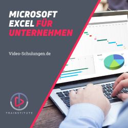 Microsoft Excel im Unternehmen – Videokurs zur Tabellenkalkulation 1 Microsoft Excel im Unternehmen