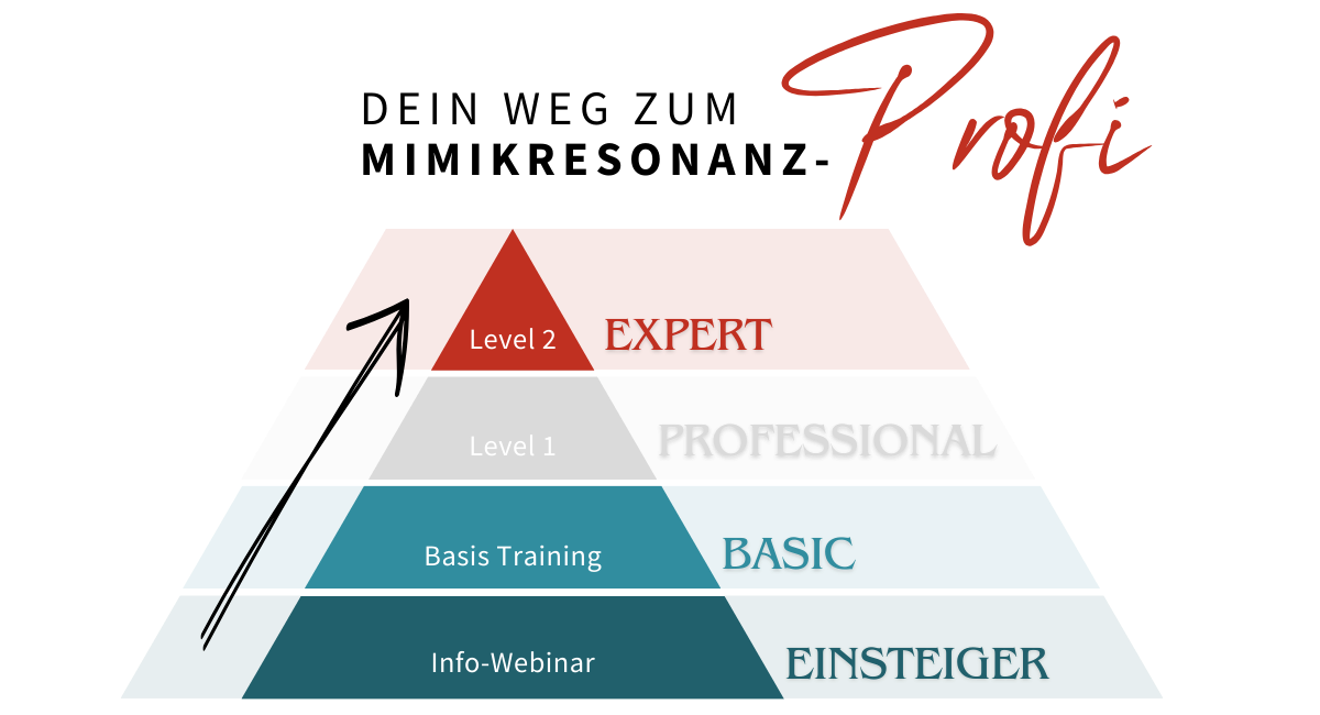 Pyramide-Grafik Mimikresonanz-Profi-Weg mit Levels: Info-Webinar (Einsteiger), Basis Training (Basic), Level 1 (Professional)