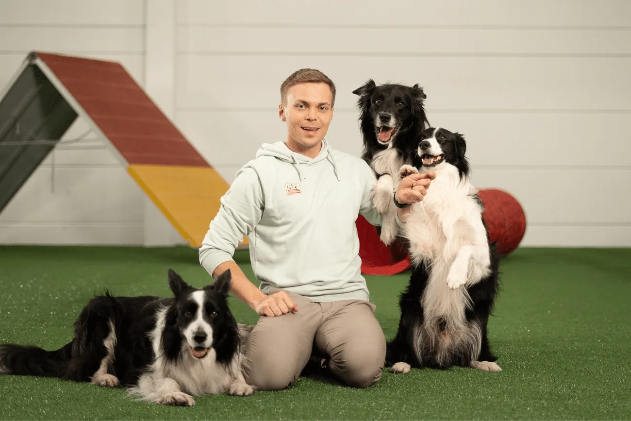 Trainer Lukas Pratschker mit drei Border Collies auf grünem Kunstrasen vor farbigem Hindernis