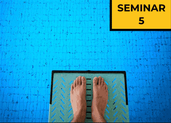 Seminar 5 des Videokurses mit Markus Jotzo